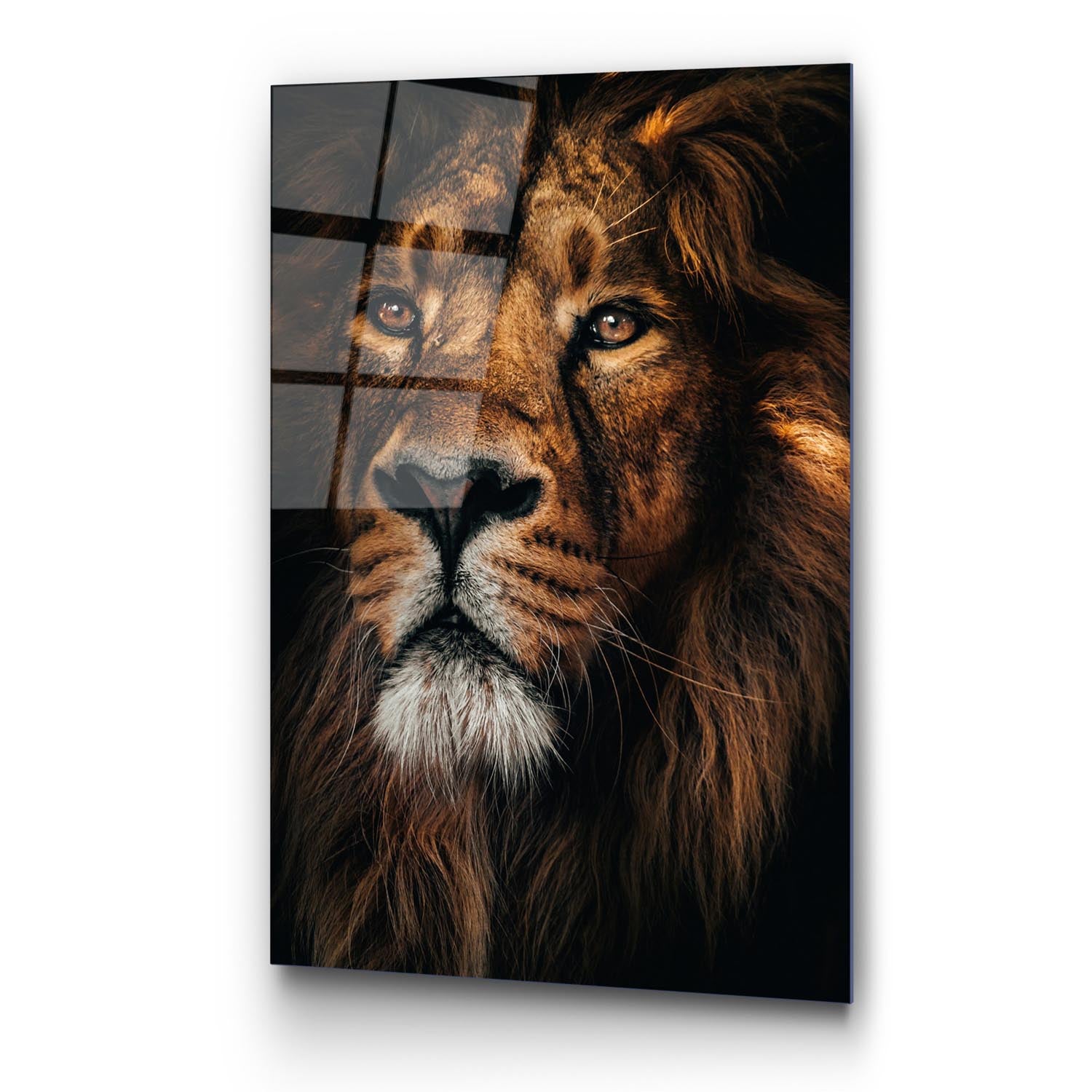 UV-159 70 x 100 in Mehrfarbig präsentiert im Onlineshop von KAQTU Design AG. Bild ist von Wallity