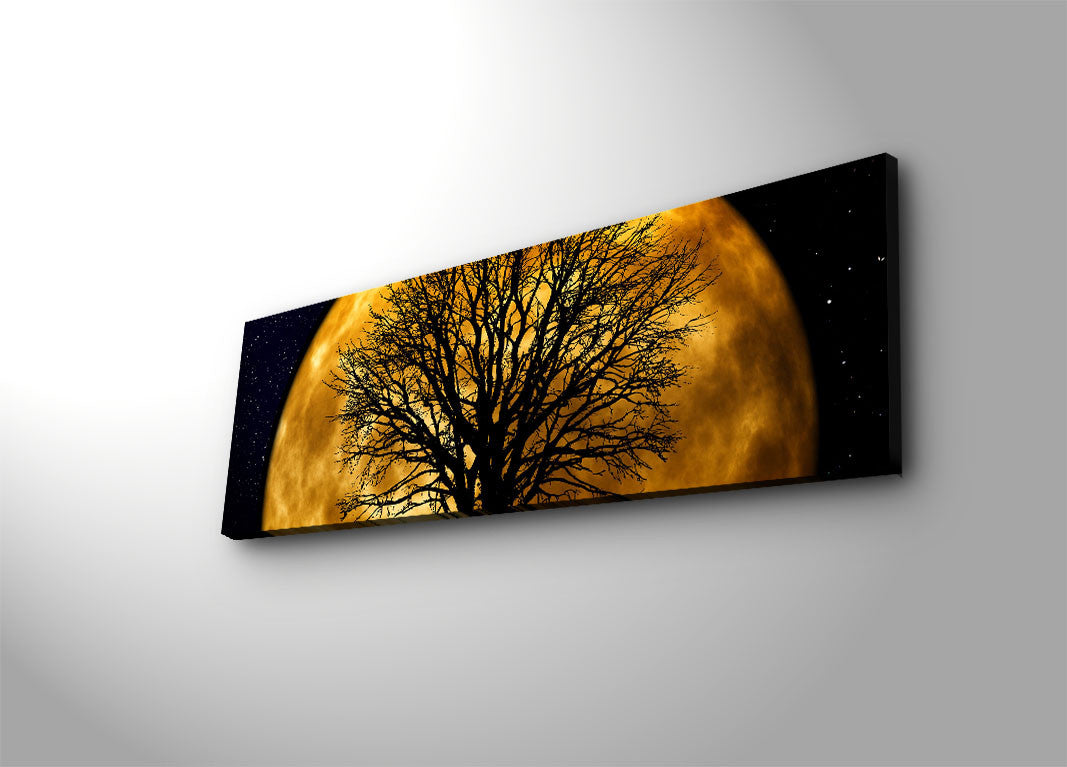 3090DACT Bild - Mehrfarbig in Mehrfarbig präsentiert im Onlineshop von KAQTU Design AG. Bild ist von Wallity