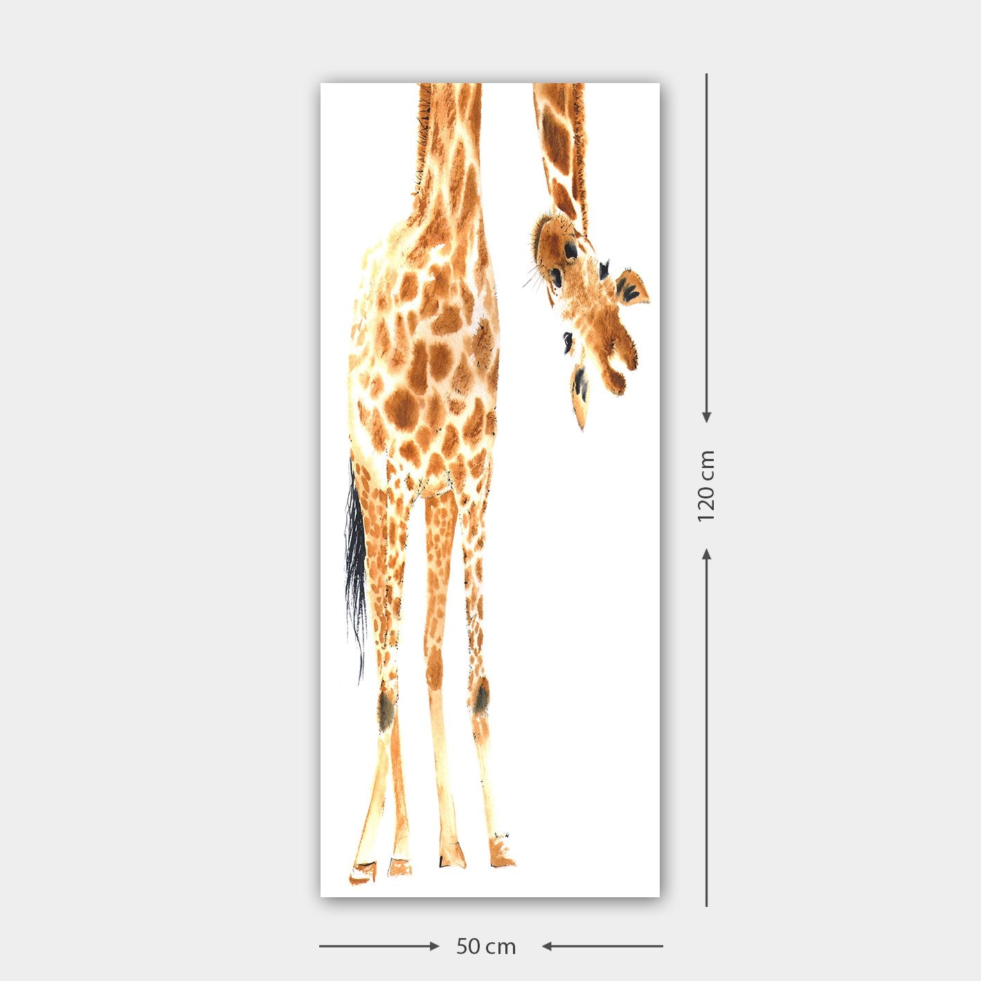 DKY2589411454_50120 in Mehrfarbig präsentiert im Onlineshop von KAQTU Design AG. Bild ist von Wallity