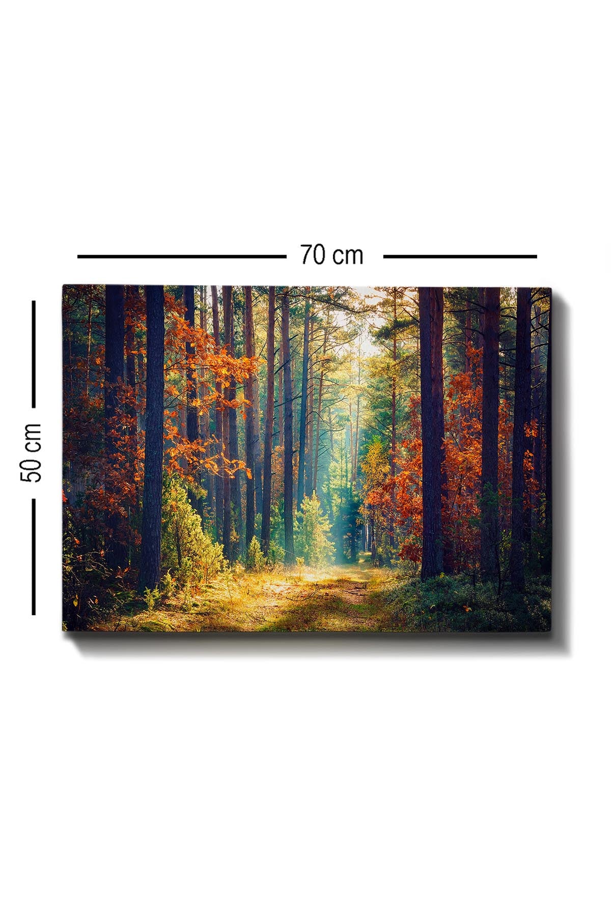 Kanvas Tablo (50 x 70) Bild - Mehrfarbig in Mehrfarbig präsentiert im Onlineshop von KAQTU Design AG. Bild ist von Wallity