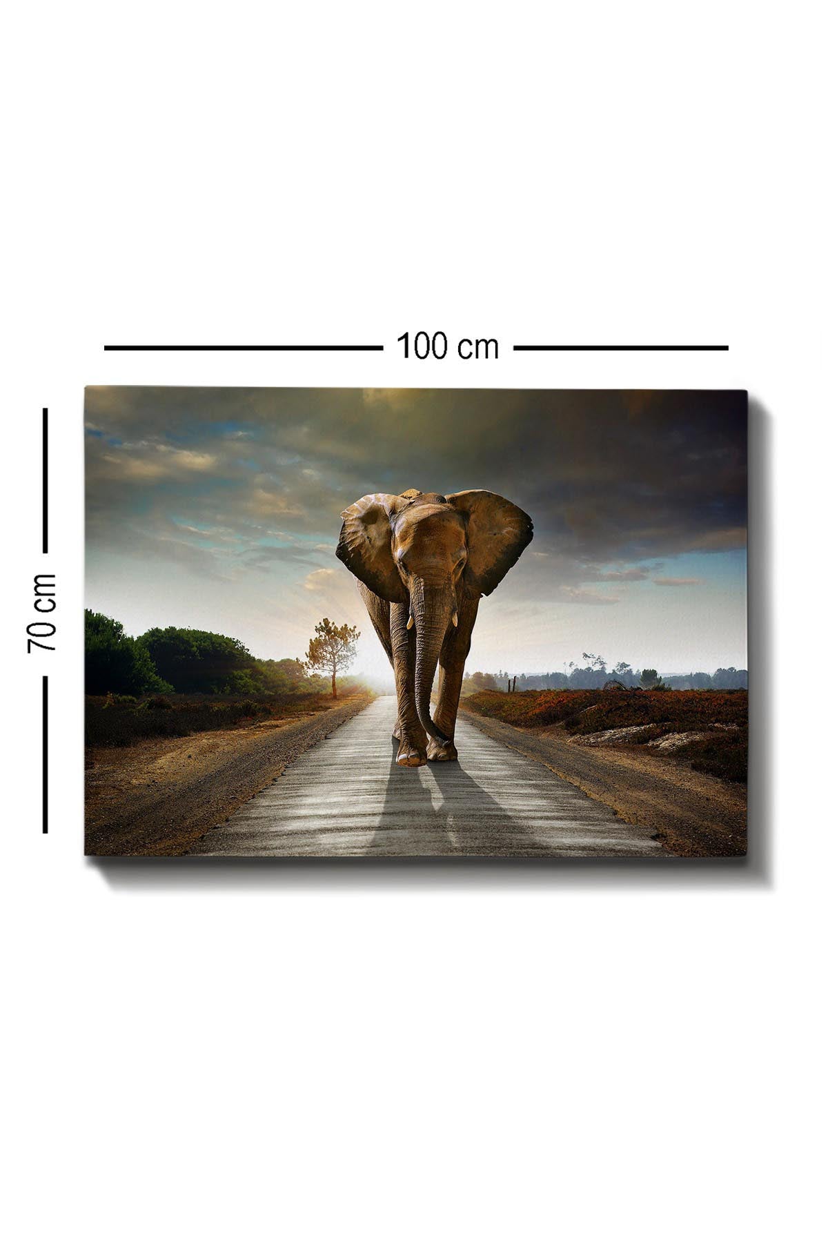 Kanvas Tablo (70 x 100) Bild - Mehrfarbig in Mehrfarbig präsentiert im Onlineshop von KAQTU Design AG. Bild ist von Wallity