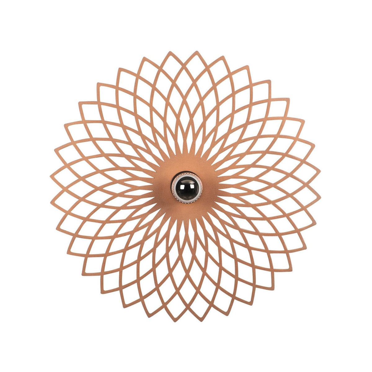 Fellini Wandleuchte - Kupfer in Kupfer präsentiert im Onlineshop von KAQTU Design AG. Wandleuchte ist von Opviq