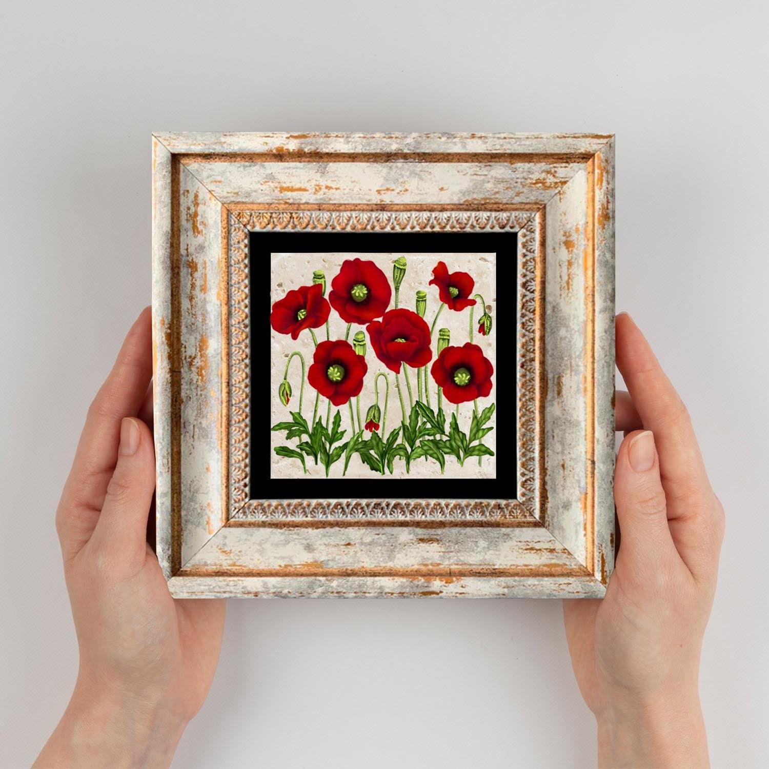 TC357225 in Mehrfarbig präsentiert im Onlineshop von KAQTU Design AG. Bild ist von Wallity