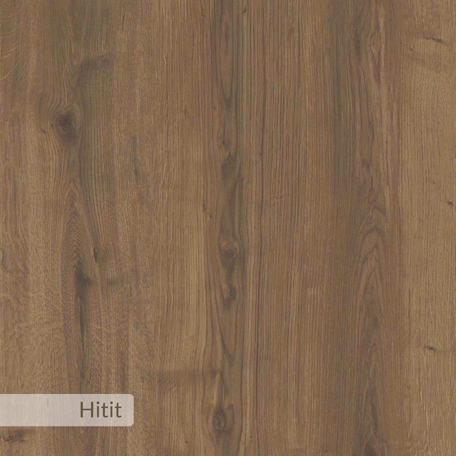 Dude - Hitit in Hitit präsentiert im Onlineshop von KAQTU Design AG. Schuhschrank ist von Hanah Home