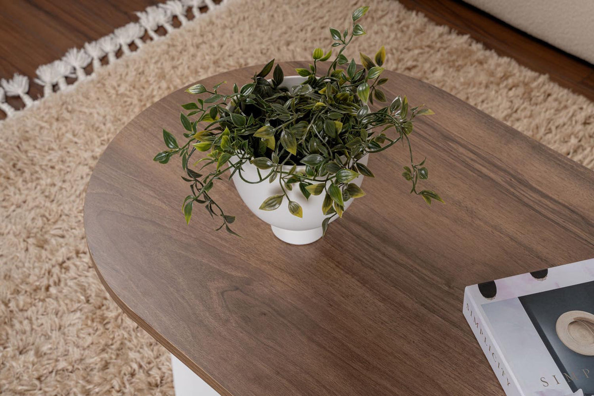 Sable Sofatisch - Walnuss Weiss in Walnuss Weiss präsentiert im Onlineshop von KAQTU Design AG. Couchtisch ist von Nordure