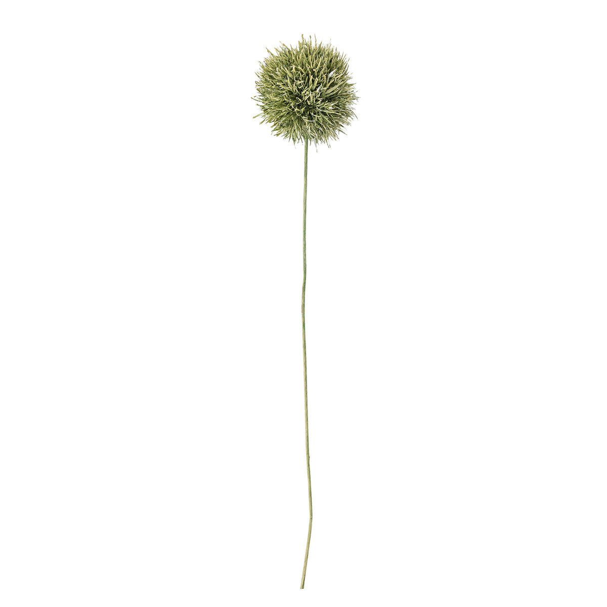 Allium Stiel, Grün, Künstliche Blumen in Grün präsentiert im Onlineshop von KAQTU Design AG. Kunstblume ist von Bloomingville