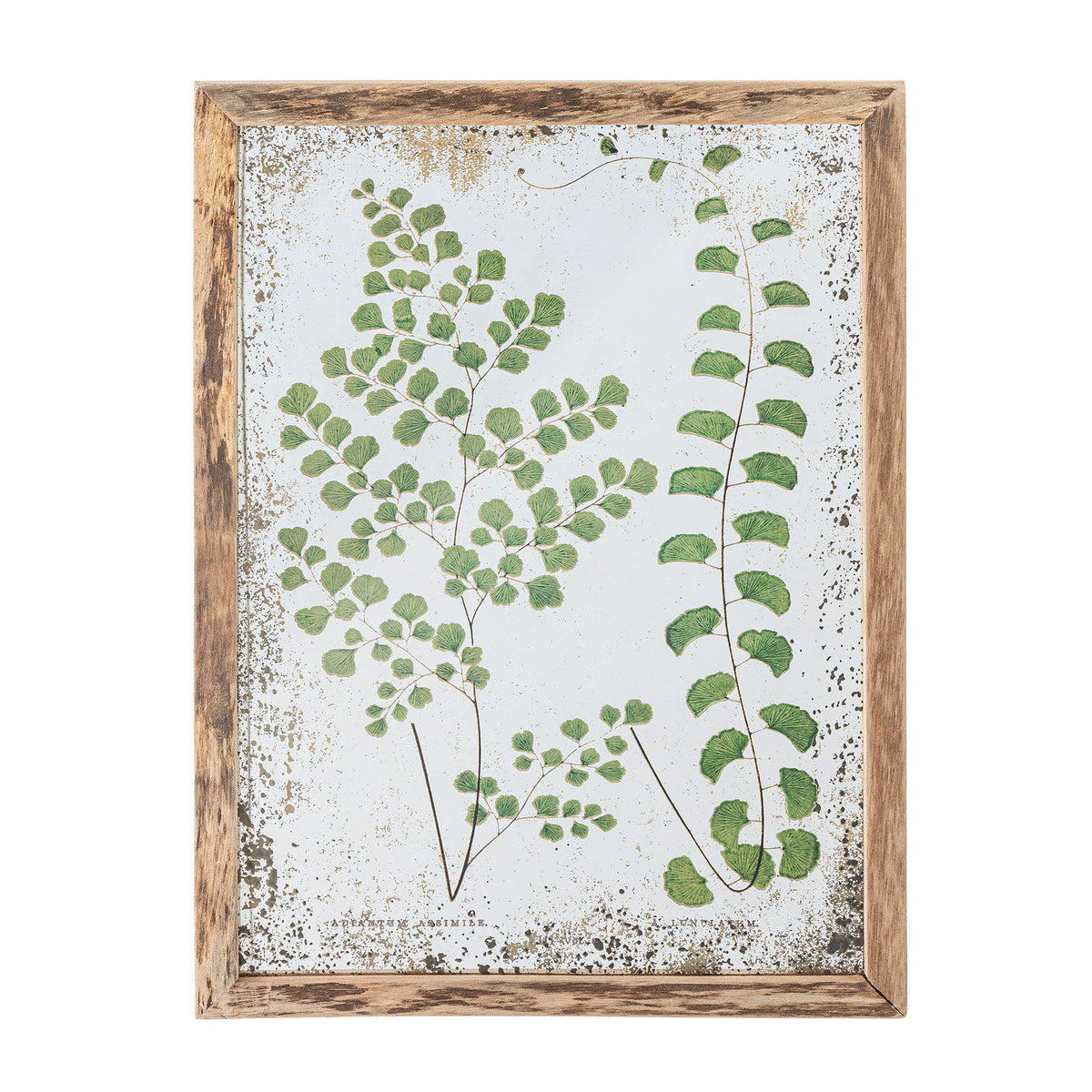 Tipper Illustration mit Rahmen, Natur, Tannenholz in Natur präsentiert im Onlineshop von KAQTU Design AG. Bild ist von Creative Collection