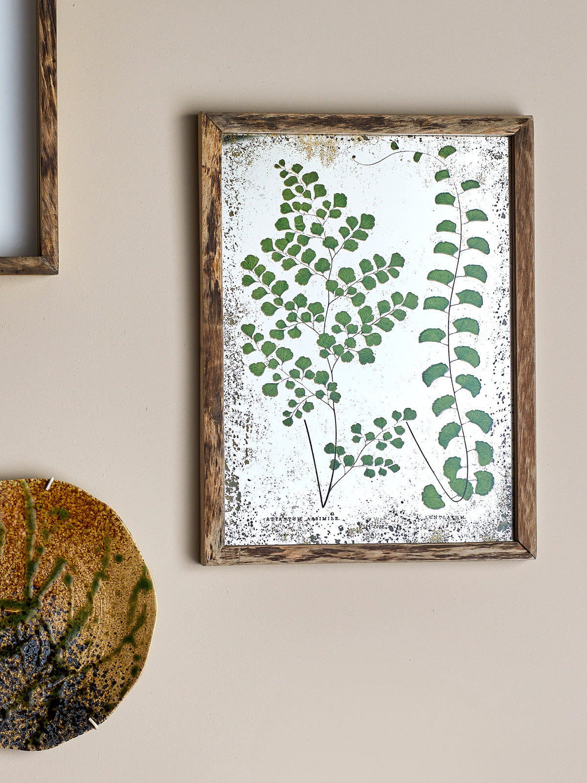 Tipper Illustration mit Rahmen, Natur, Tannenholz in Natur präsentiert im Onlineshop von KAQTU Design AG. Bild ist von Creative Collection