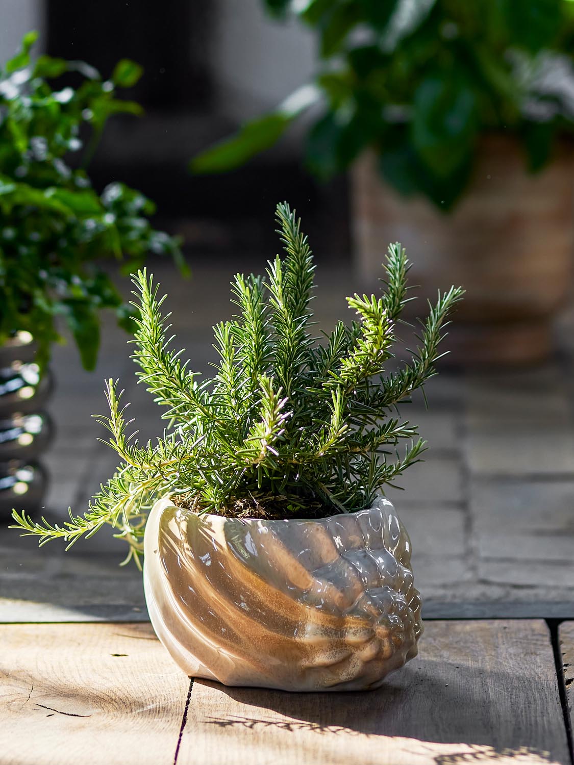 Corelia Blumentopf, Braun, Steingut in Brown präsentiert im Onlineshop von KAQTU Design AG. Pflanzentopf Outdoor ist von Bloomingville