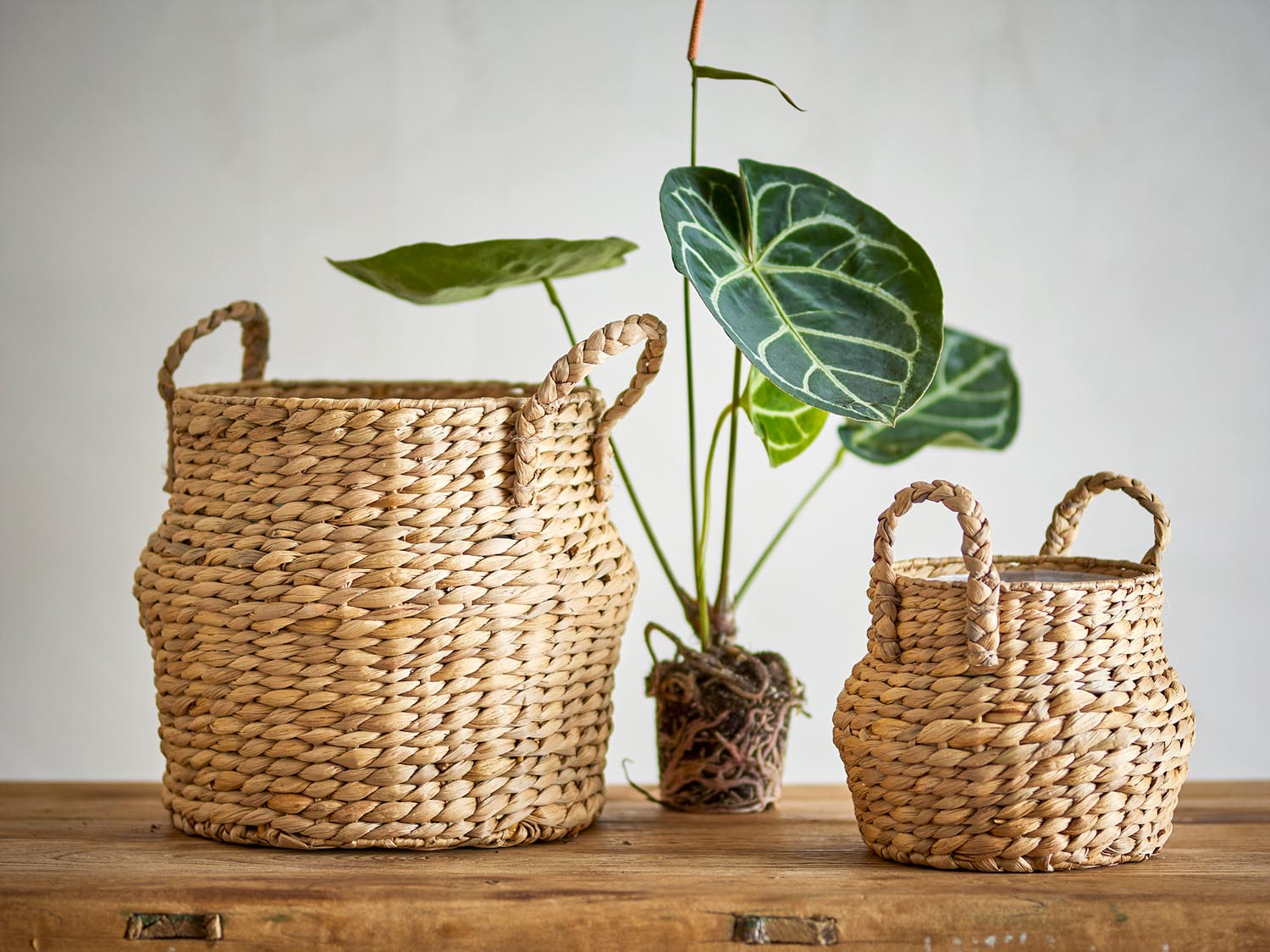 Bjorn Korb, Natur, Wasserhyazinthe in Nature präsentiert im Onlineshop von KAQTU Design AG. Aufbewahrungskorb ist von Bloomingville