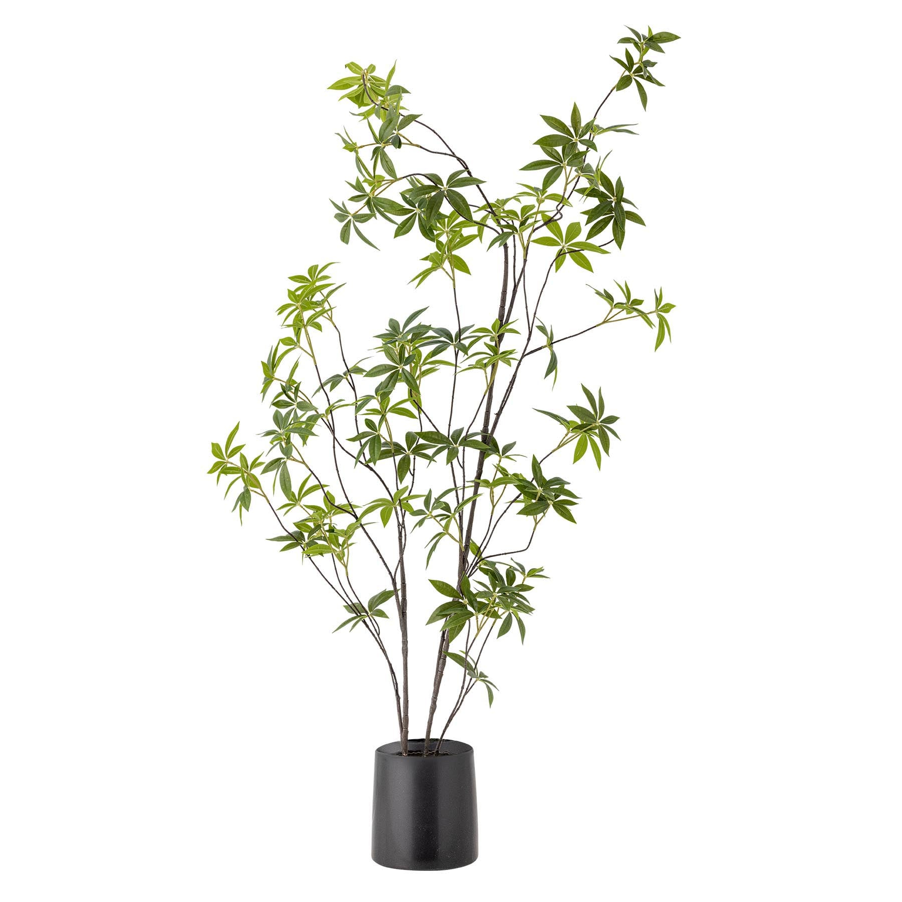 Palmatum Pflanze, Grün, Künstliche Blumen in Green präsentiert im Onlineshop von KAQTU Design AG. Kunstpflanze ist von Bloomingville