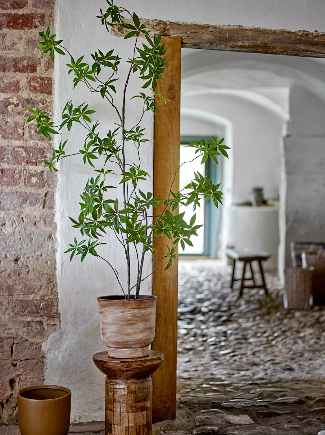 Palmatum Pflanze, Grün, Künstliche Blumen in Green präsentiert im Onlineshop von KAQTU Design AG. Kunstpflanze ist von Bloomingville