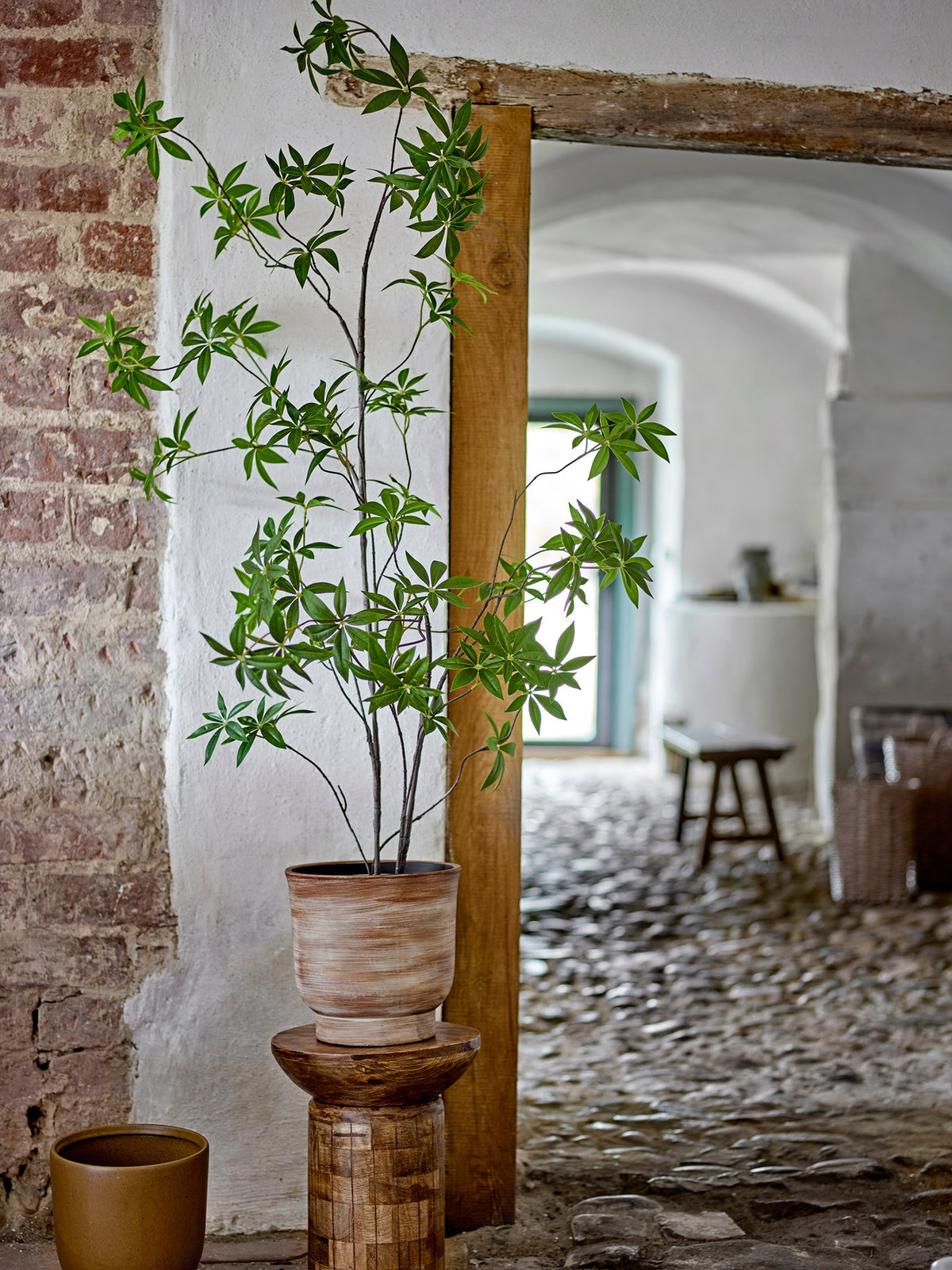 Palmatum Pflanze, Grün, Künstliche Blumen in Green präsentiert im Onlineshop von KAQTU Design AG. Kunstpflanze ist von Bloomingville