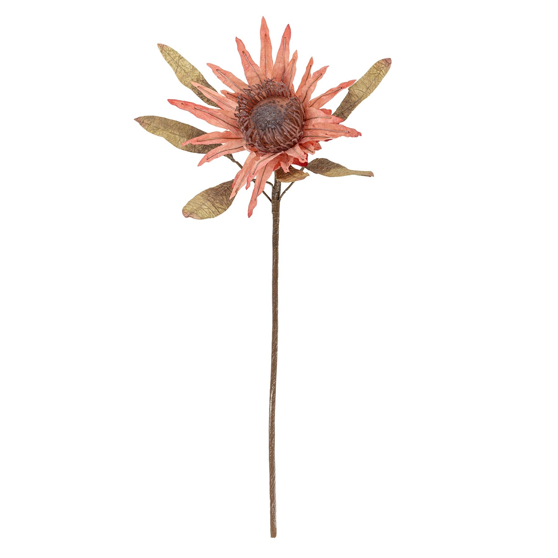Protea Stiel, Rose, Künstliche Blumen in Rose präsentiert im Onlineshop von KAQTU Design AG. Kunstpflanze ist von Bloomingville