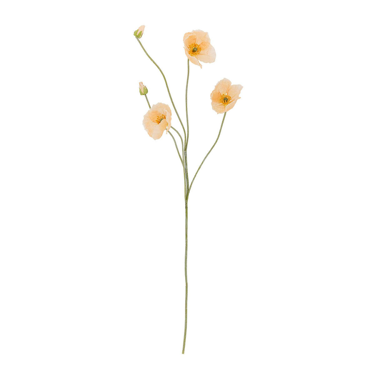 Poppy Stiel, Natur, Künstliche Blumen in Nature präsentiert im Onlineshop von KAQTU Design AG. Kunstblume ist von Bloomingville