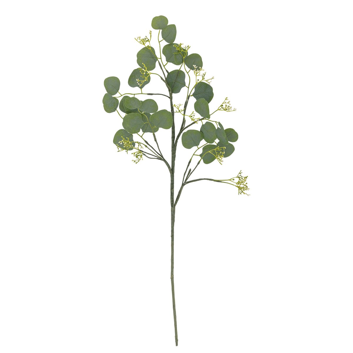Eucalyptus Stiel, Grün, Künstliche Blumen in Green präsentiert im Onlineshop von KAQTU Design AG. Kunstpflanze ist von Bloomingville