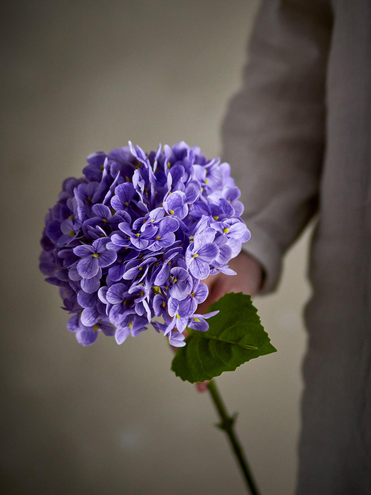 Hydrangea Stiel, Violett, Künstliche Blumen in Purple präsentiert im Onlineshop von KAQTU Design AG. Kunstpflanze ist von Bloomingville