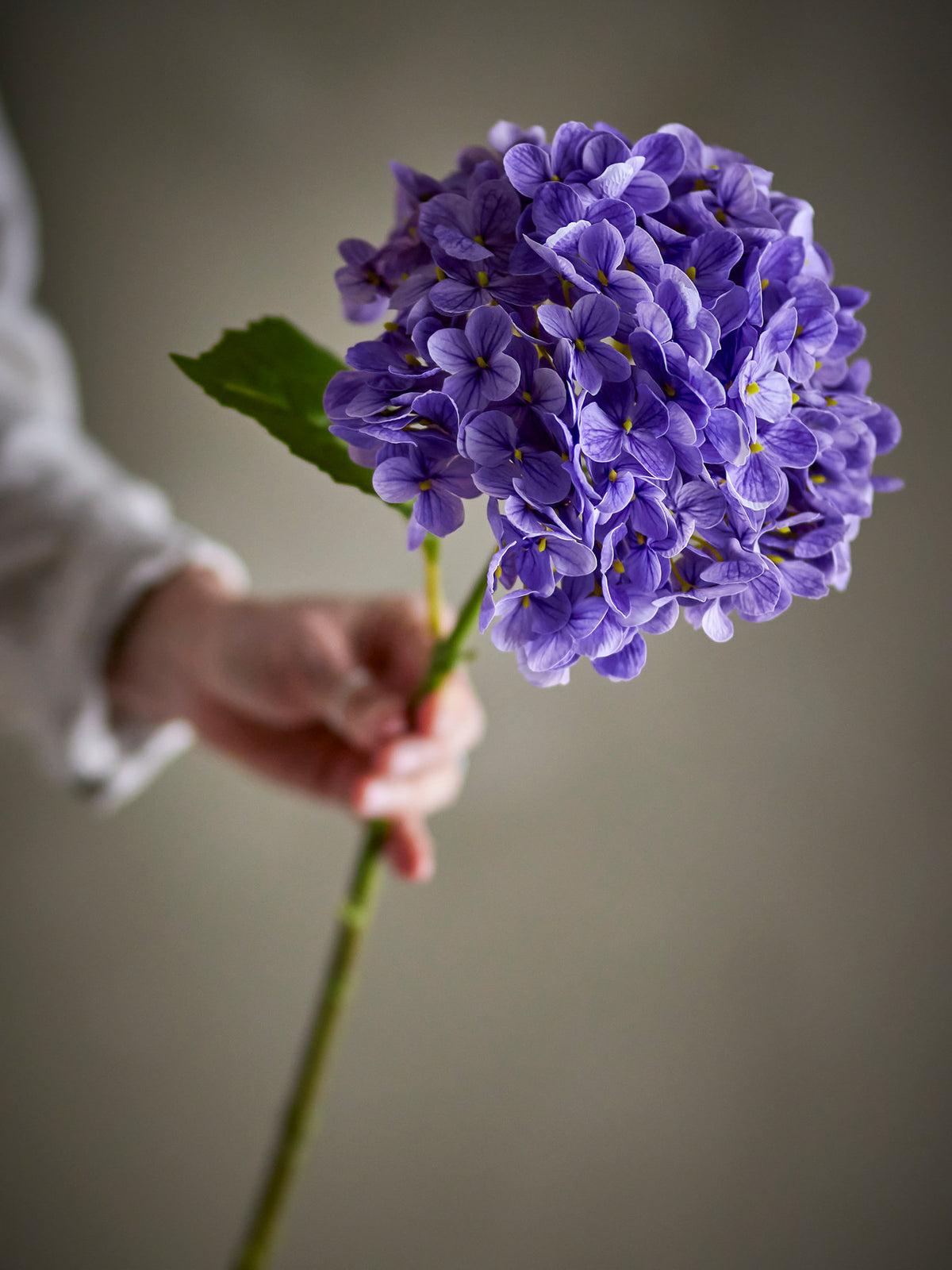 Hydrangea Stiel, Violett, Künstliche Blumen in Purple präsentiert im Onlineshop von KAQTU Design AG. Kunstpflanze ist von Bloomingville