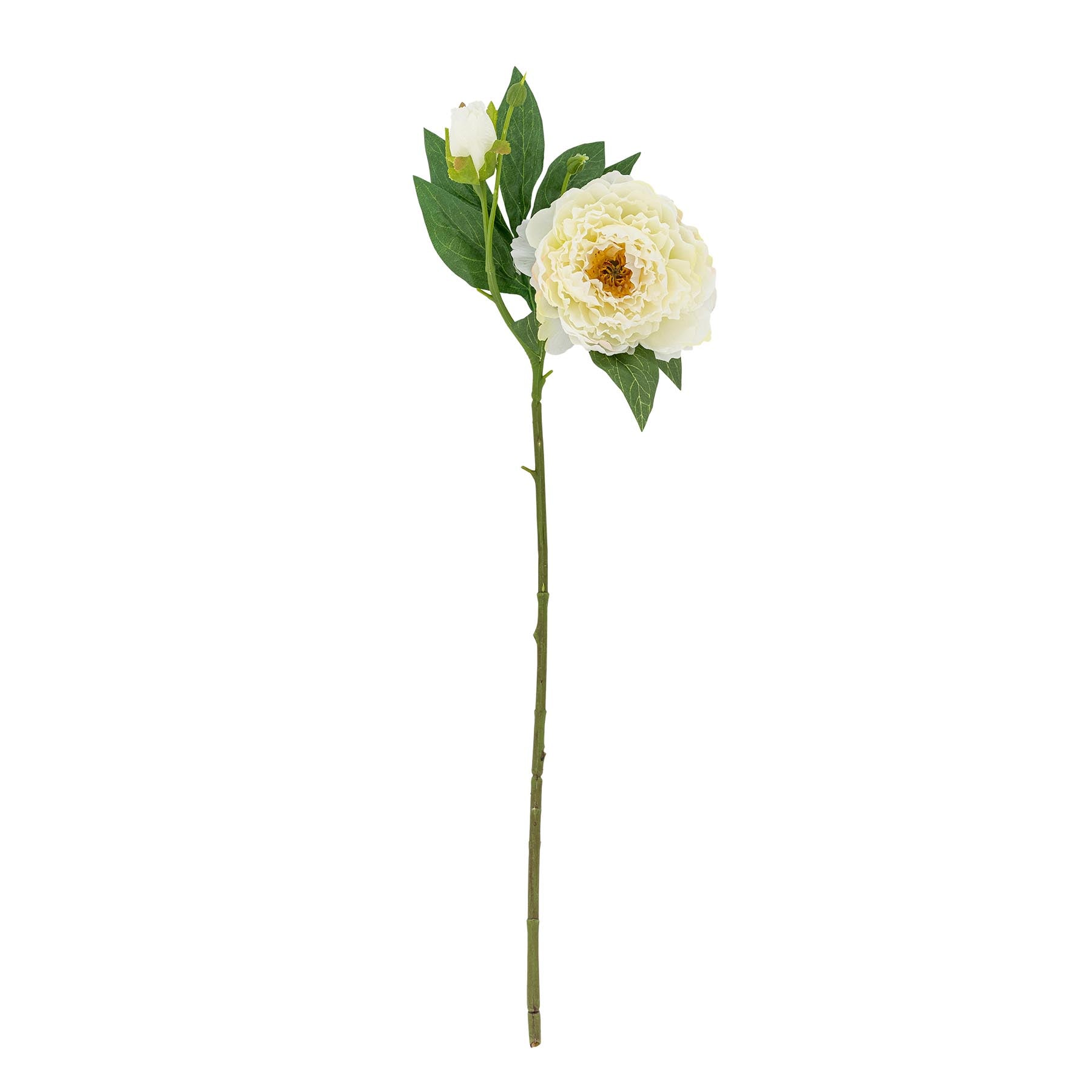 Peony Stiel, Weiß, Künstliche Blumen in White präsentiert im Onlineshop von KAQTU Design AG. Kunstpflanze ist von Bloomingville