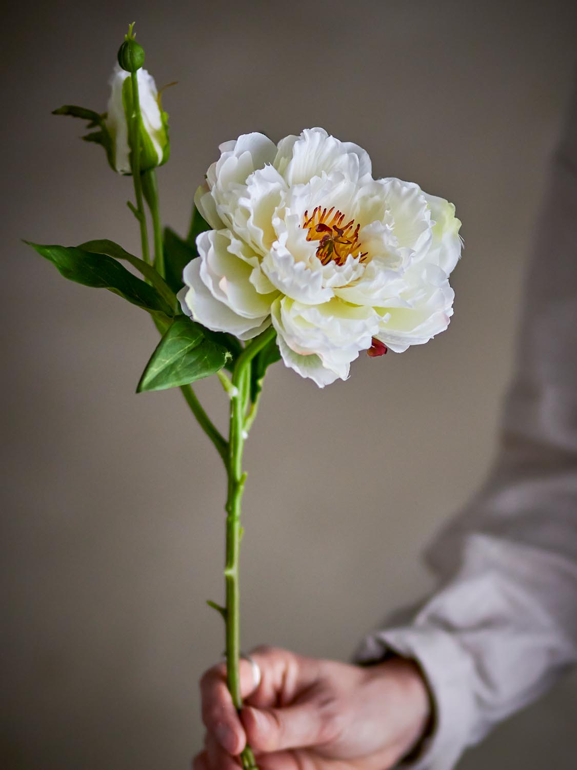 Peony Stiel, Weiß, Künstliche Blumen in White präsentiert im Onlineshop von KAQTU Design AG. Kunstpflanze ist von Bloomingville