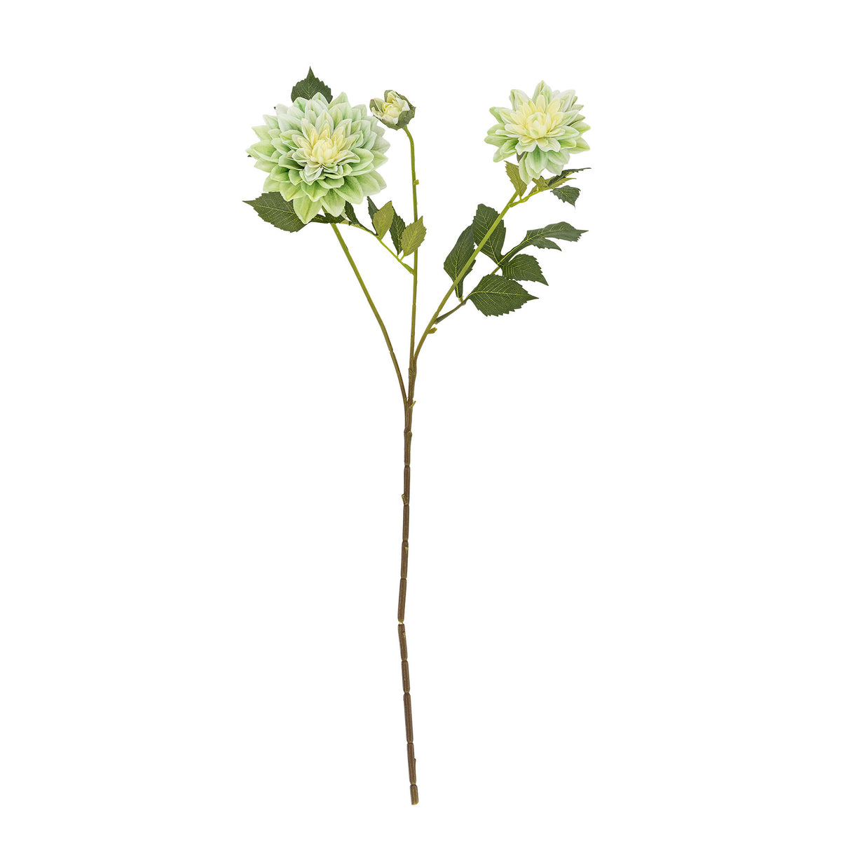 Chrysantemum Stiel, Weiss, Künstliche Blumen in White präsentiert im Onlineshop von KAQTU Design AG. Kunstpflanze ist von Bloomingville