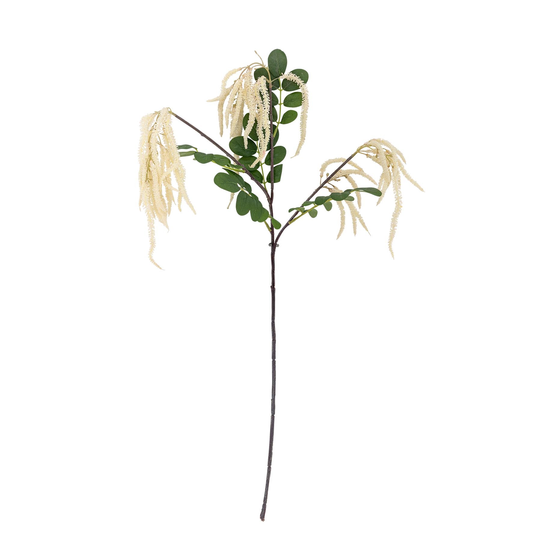 Reed Stiel, Weiß, Künstliche Blumen in White präsentiert im Onlineshop von KAQTU Design AG. Kunstpflanze ist von Bloomingville