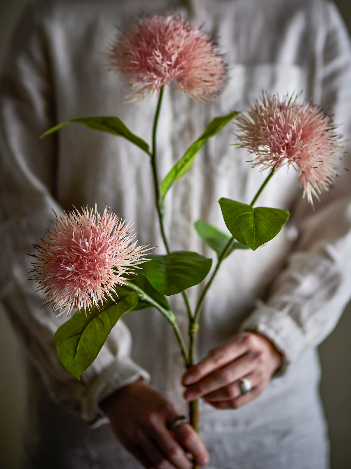 Chrysantemum Stiel, Rose, Künstliche Blumen in Rose präsentiert im Onlineshop von KAQTU Design AG. Kunstpflanze ist von Bloomingville