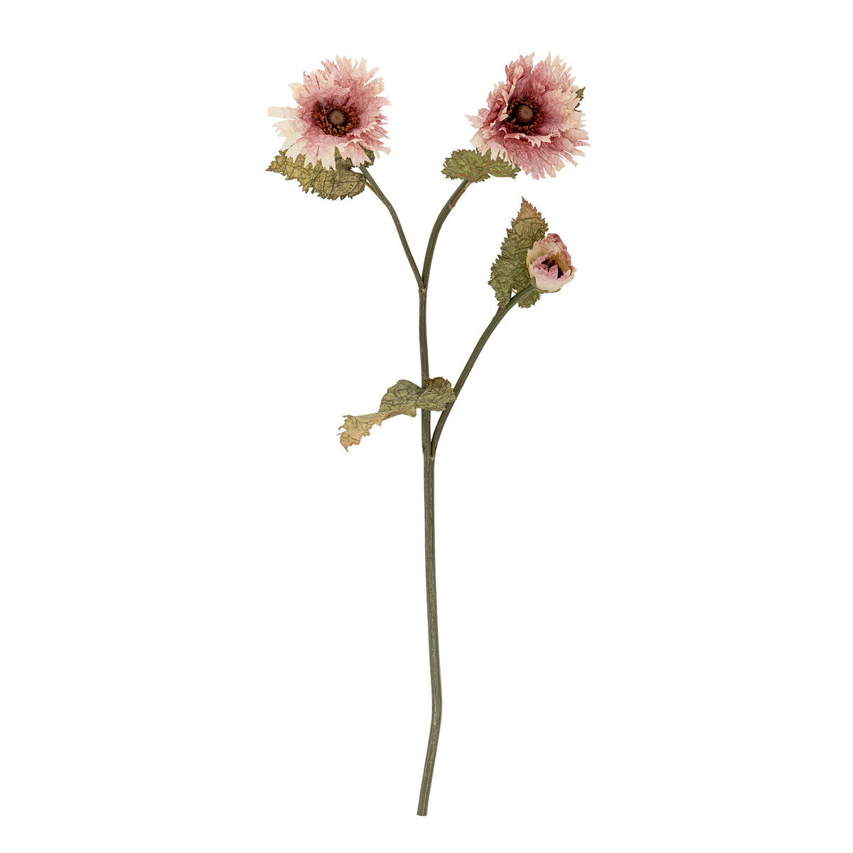 Chrysantemum Stiel, Rose, Künstliche Blumen in Rose präsentiert im Onlineshop von KAQTU Design AG. Kunstpflanze ist von Bloomingville