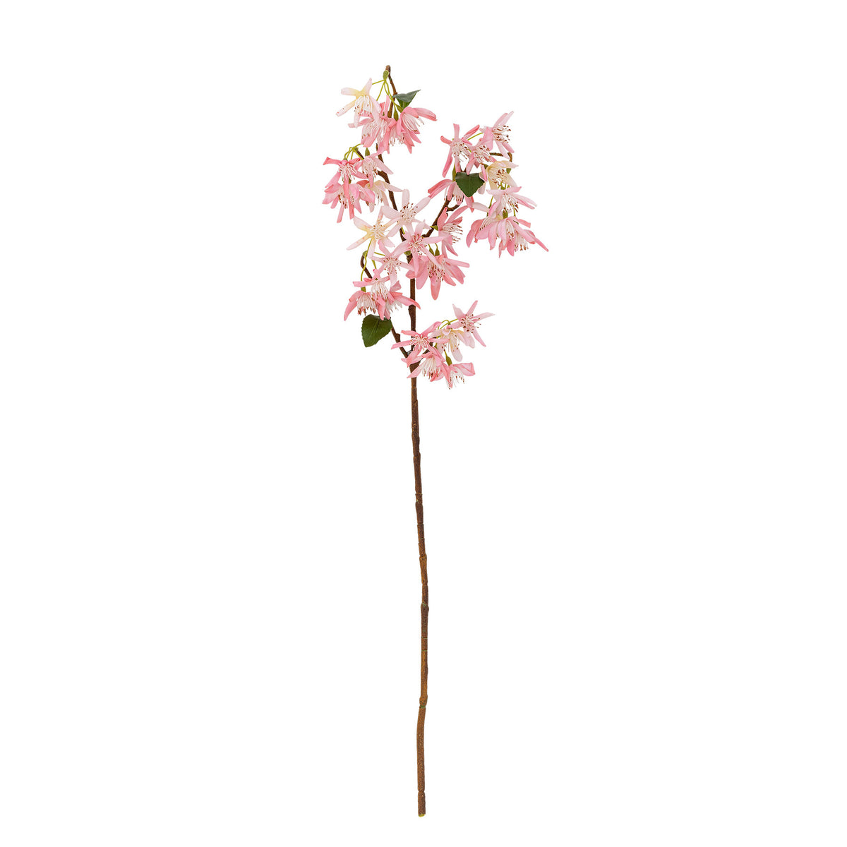 Chrysantemum Stiel, Rose, Künstliche Blumen in Rose präsentiert im Onlineshop von KAQTU Design AG. Kunstpflanze ist von Bloomingville
