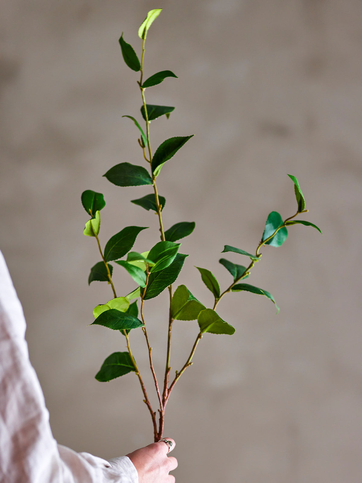 Eucalyptus Stiel, Grün, Künstliche Blumen in Green präsentiert im Onlineshop von KAQTU Design AG. Kunstpflanze ist von Bloomingville