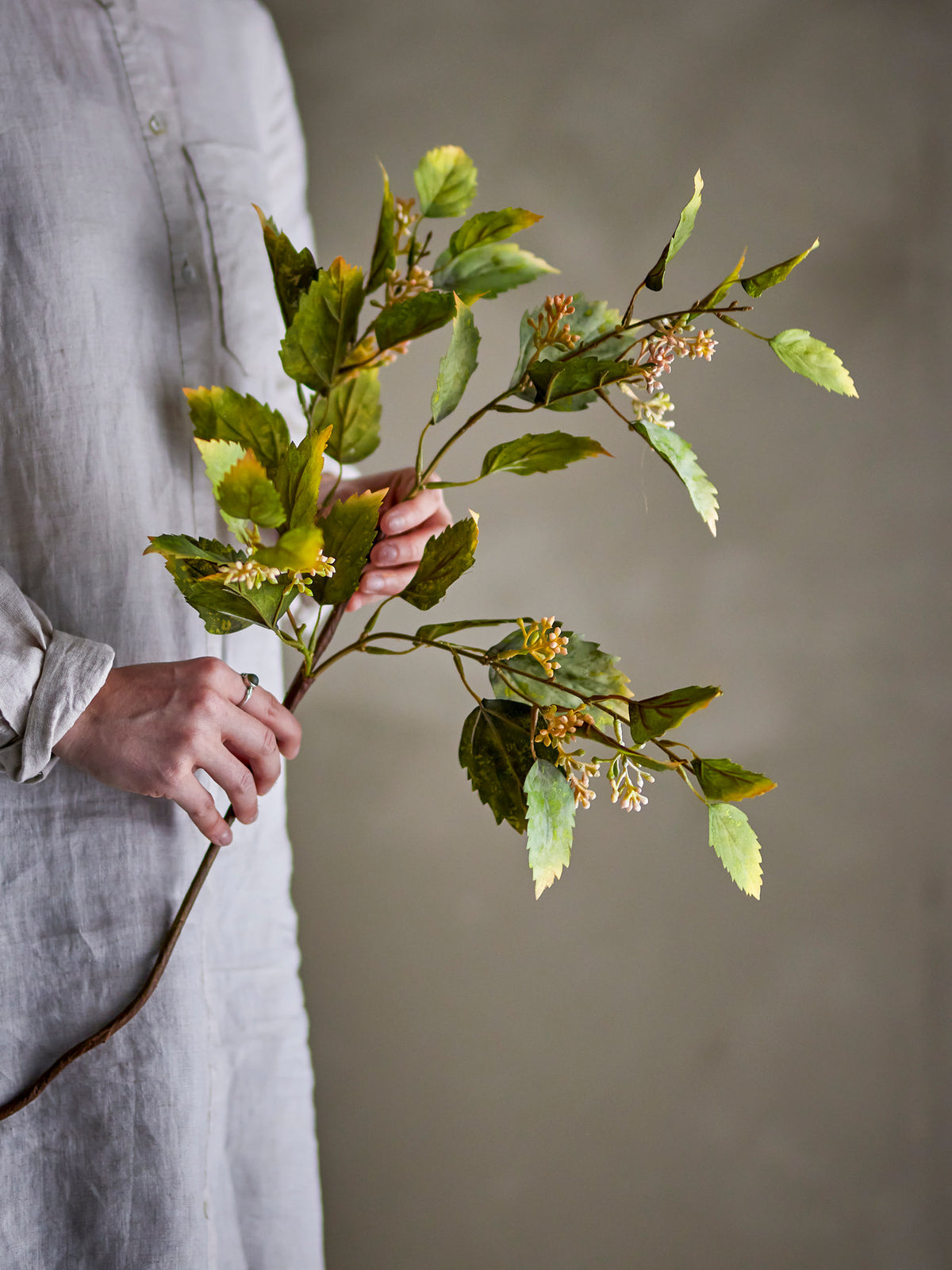 Eucalyptus Stiel, Grün, Künstliche Blumen in Green präsentiert im Onlineshop von KAQTU Design AG. Kunstpflanze ist von Bloomingville