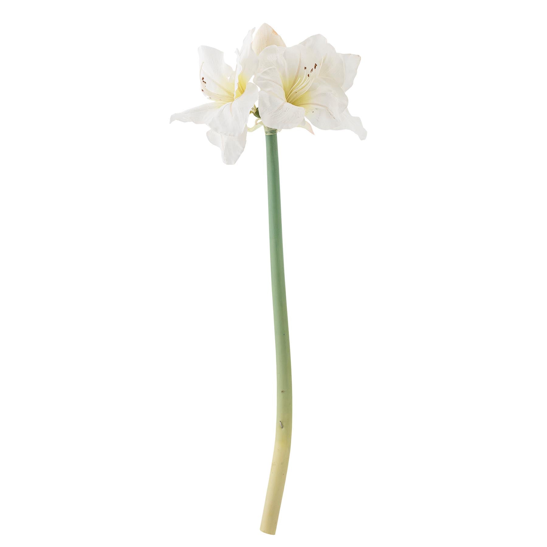 Amaryllis Stiel, Weiß, Künstliche Blumen in White präsentiert im Onlineshop von KAQTU Design AG. Kunstpflanze ist von Bloomingville