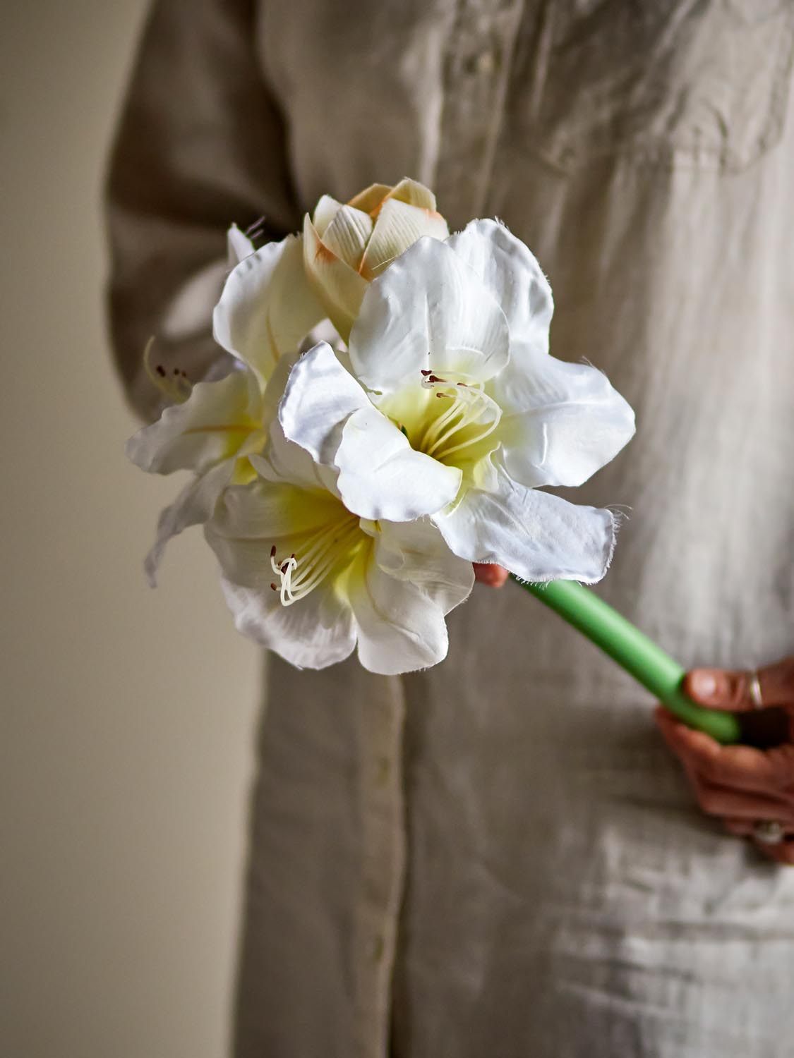 Amaryllis Stiel, Weiß, Künstliche Blumen in White präsentiert im Onlineshop von KAQTU Design AG. Kunstpflanze ist von Bloomingville
