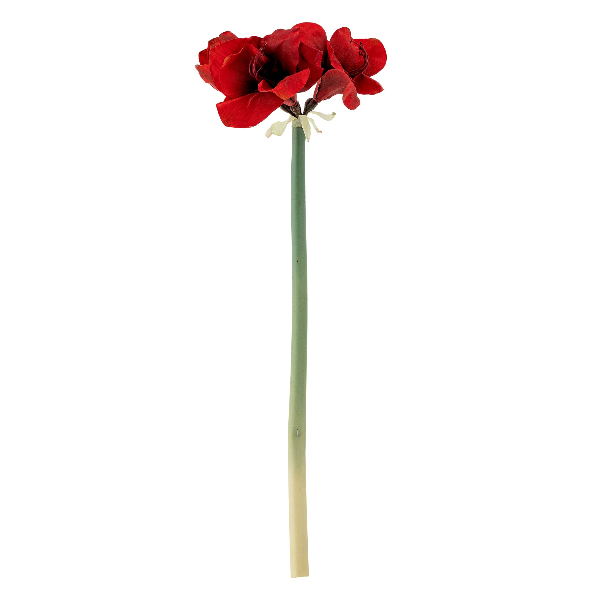 Amaryllis Stiel, Rot, Künstliche Blumen in Red präsentiert im Onlineshop von KAQTU Design AG. Kunstpflanze ist von Bloomingville