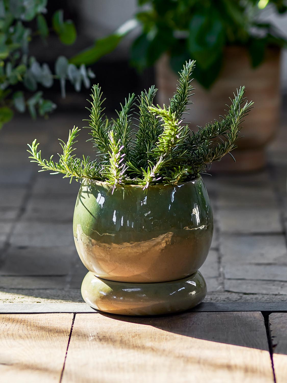 Imke Blumentopf mit Untertasse, Grün, Steingut in Green präsentiert im Onlineshop von KAQTU Design AG. Pflanzentopf Outdoor ist von Bloomingville