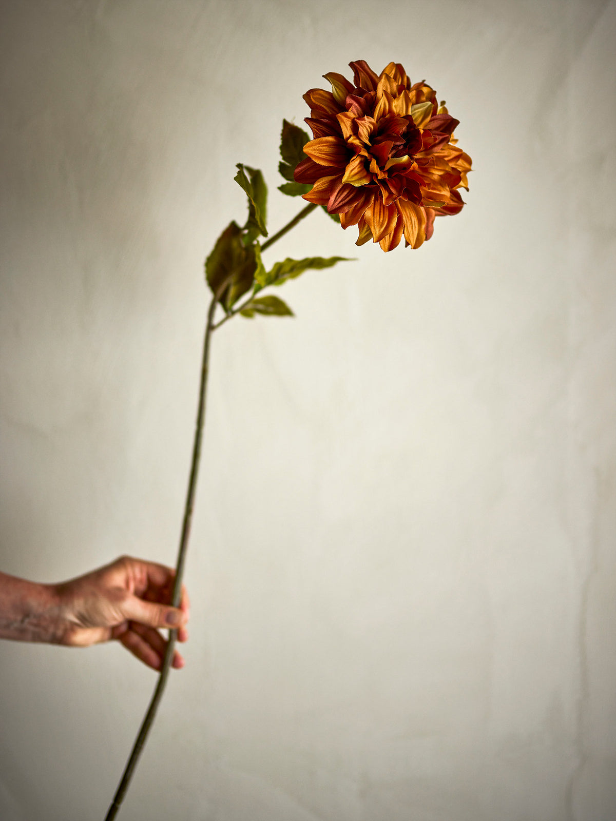 Chrysantemum Stiel, Orange, Künstliche Blumen in Orange präsentiert im Onlineshop von KAQTU Design AG. Kunstpflanze ist von Bloomingville