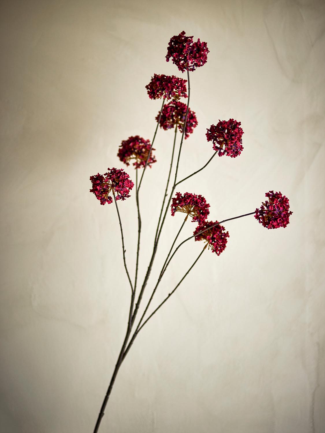 Hydrangea Stiel, Rot, Künstliche Blumen in Red präsentiert im Onlineshop von KAQTU Design AG. Kunstpflanze ist von Bloomingville