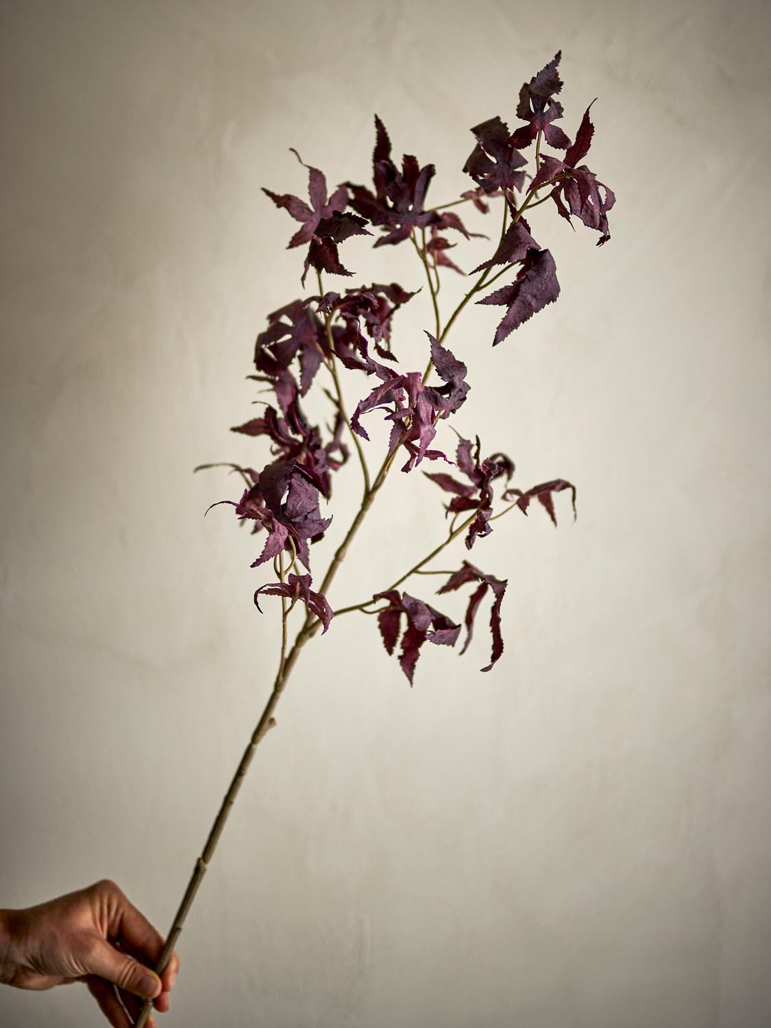 Maple Stiel, Violett, Künstliche Blumen in Purple präsentiert im Onlineshop von KAQTU Design AG. Kunstpflanze ist von Bloomingville
