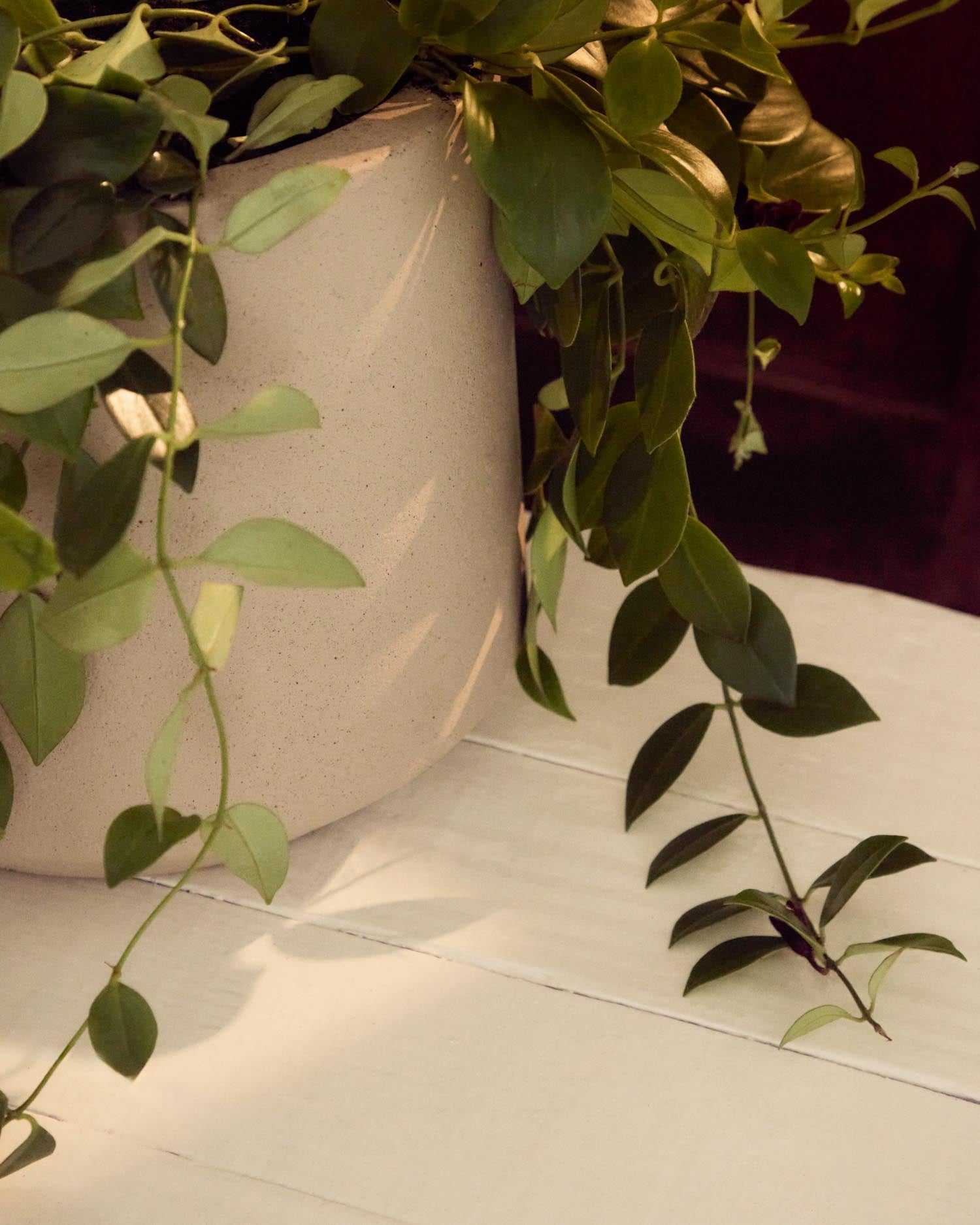 Blumentopf Calun aus Zement in Beige Ø 32 cm in Beige präsentiert im Onlineshop von KAQTU Design AG. Blumentopf ist von Kave Home