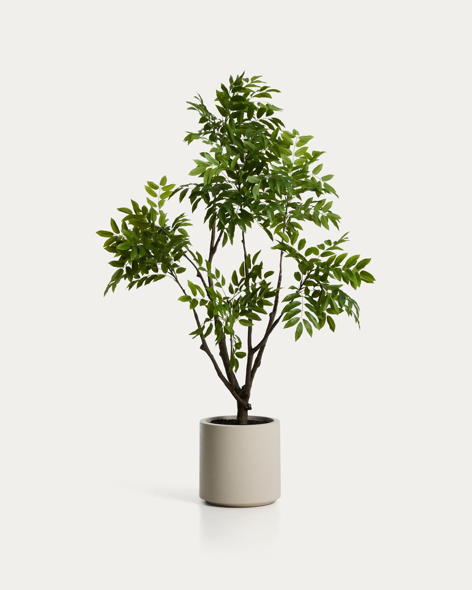 Künstlicher Essigbaum mit weissem Topf, 185 cm in Weiss präsentiert im Onlineshop von KAQTU Design AG. Kunstpflanze ist von Kave Home