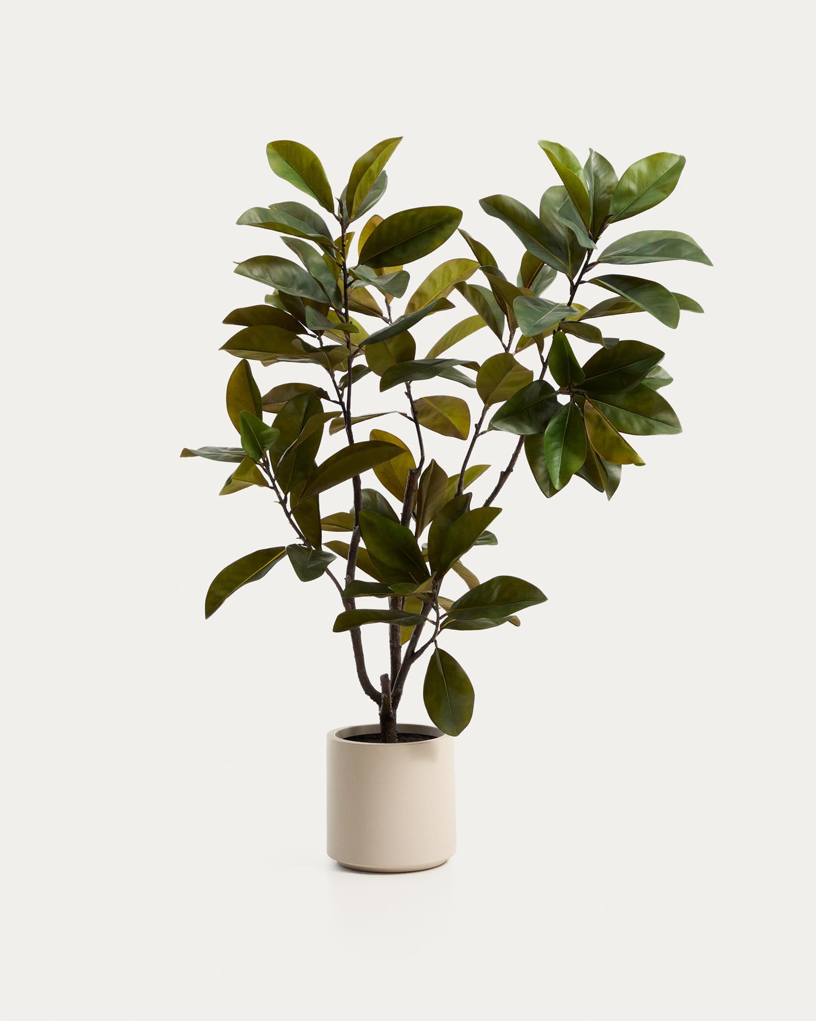 Künstlicher Magnolienbaum mit weissem Topf, 160 cm in Weiss präsentiert im Onlineshop von KAQTU Design AG. Kunstpflanze ist von Kave Home