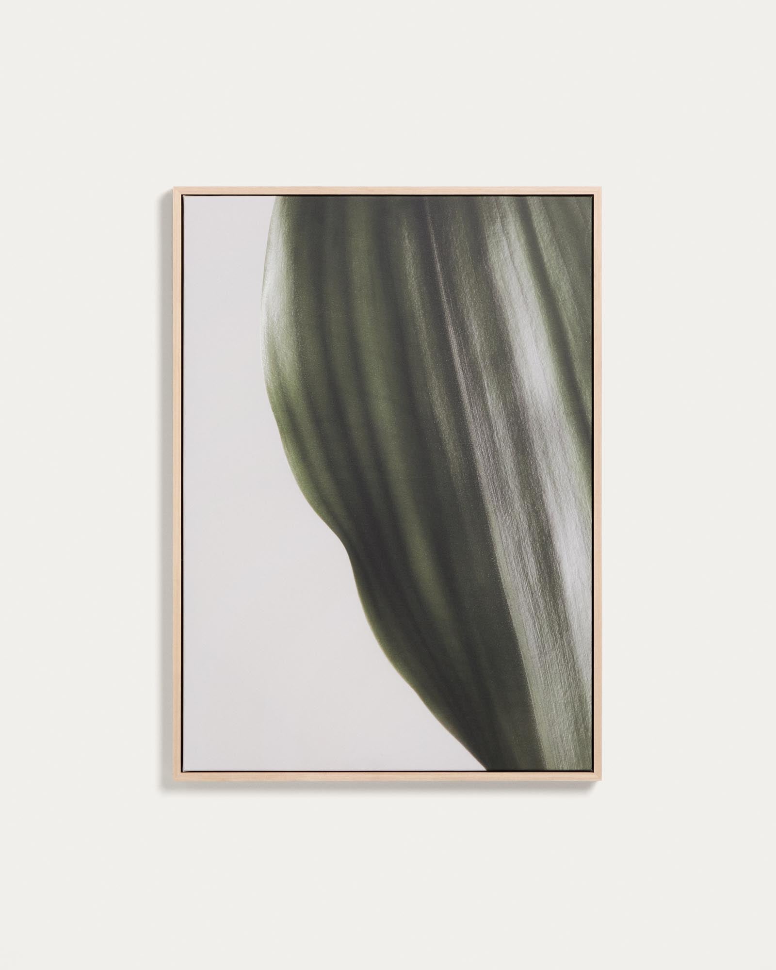 Bild Foliae – Fotografie eines Blatts, 52 x 72 cm in Grün präsentiert im Onlineshop von KAQTU Design AG. Bild ist von Kave Home