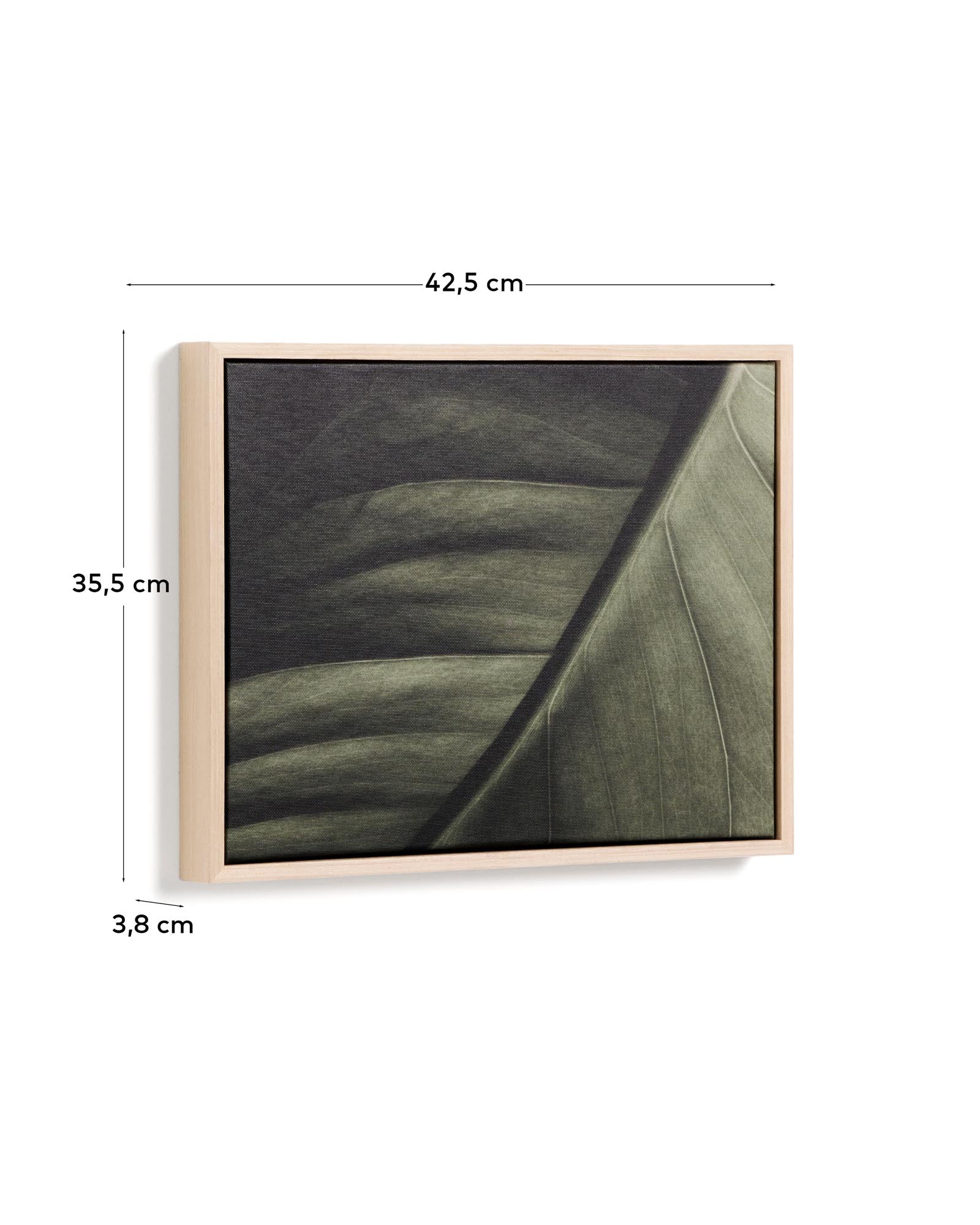 Stimmungsvolle Fotografie eines Blattes in sanften Grüntönen, 32,5 x 42,5 cm, perfekt für stilvolle Innenräume und kreative Akzente.