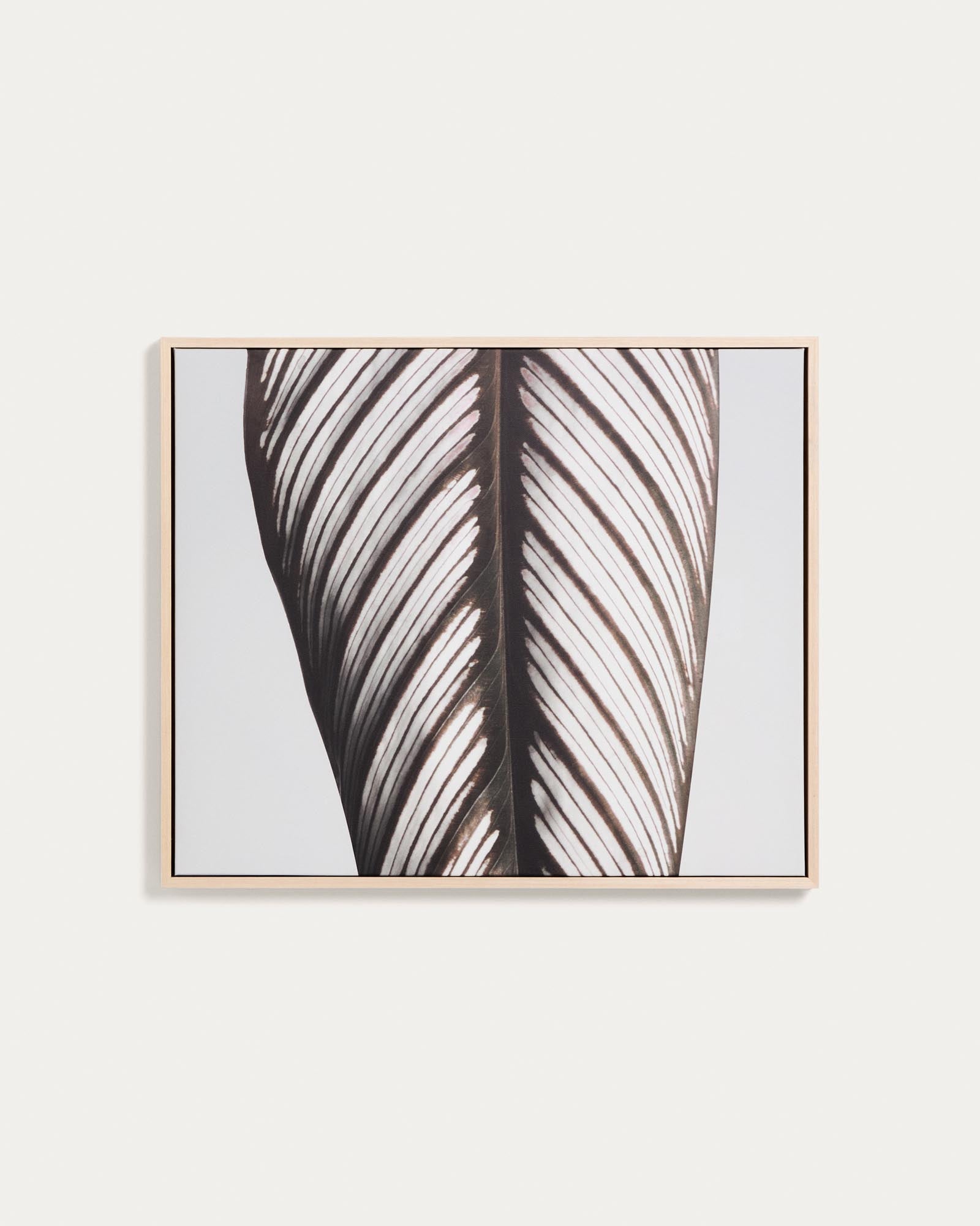 Elegante Fotografie eines Blattes in sanften Weißtönen, 52,5 x 62,5 cm, ideal für moderne Wohnräume von Kave Home.