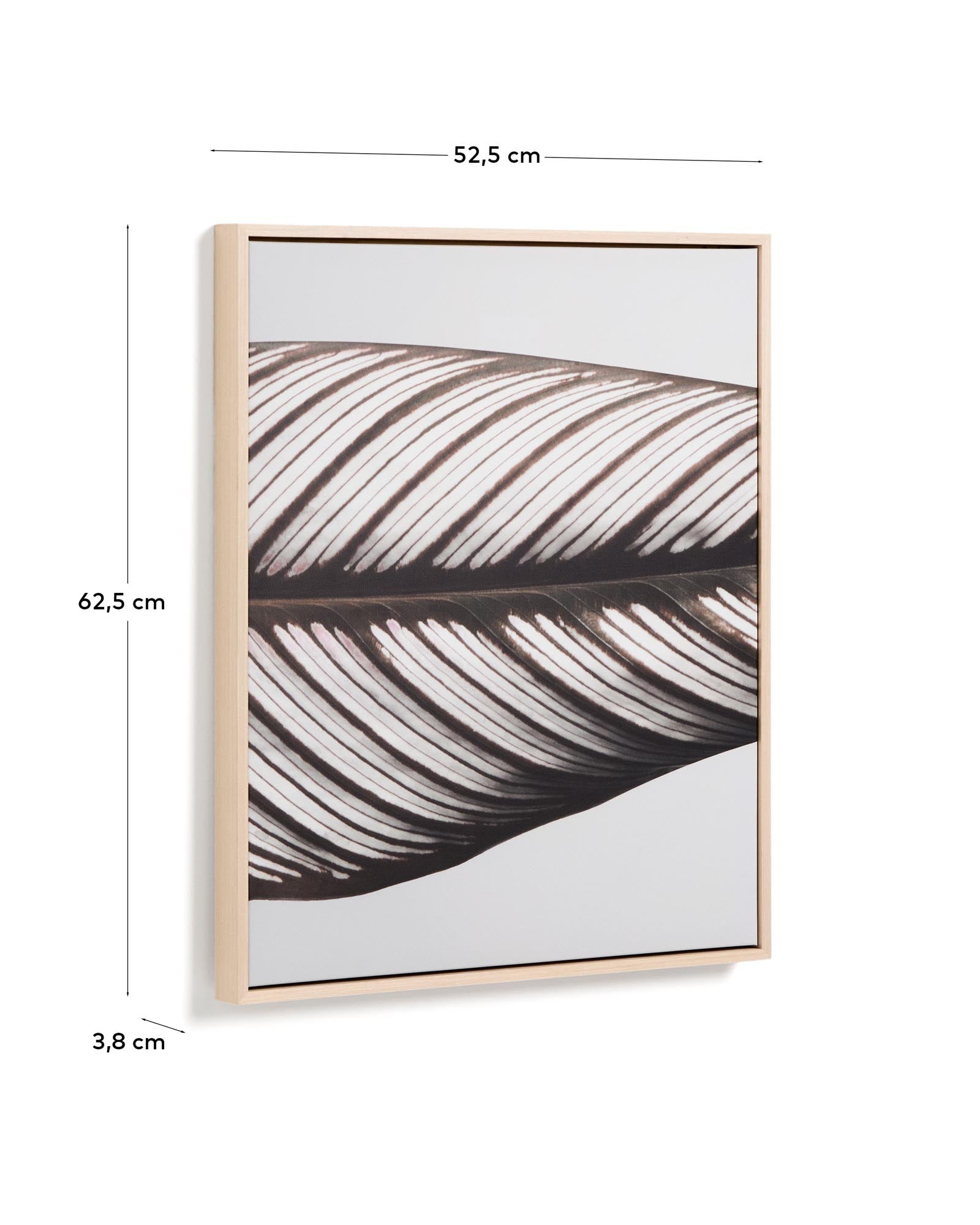 Stimmungsvolle Fotografie eines Blattes in zarten Farbtönen, 52,5 x 62,5 cm, perfekt für stilvolle Inneneinrichtungen von Kave Home.