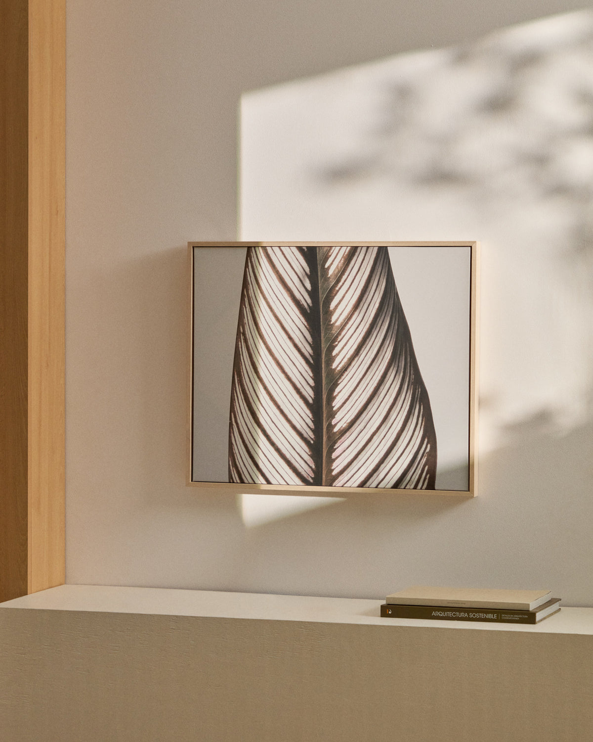 Bild Foliae – Fotografie eines Blatts, 52,5 x 62,5 cm in Weiss, Grün präsentiert im Onlineshop von KAQTU Design AG. Bild ist von Kave Home
