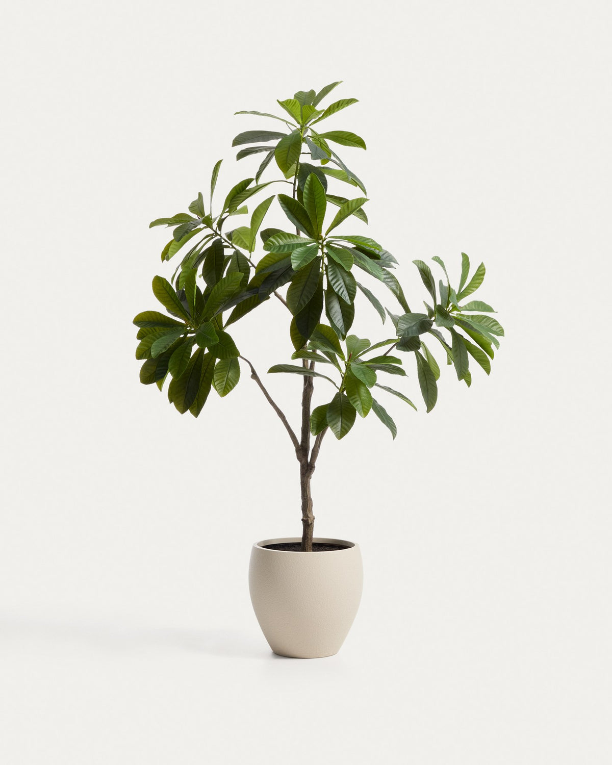 Künstliche Frangipani Pflanze in Grün mit weissem Blumentopf, Höhe 240 cm, Blätter aus Polyethylen und Polyurethan, geschwungene Form.