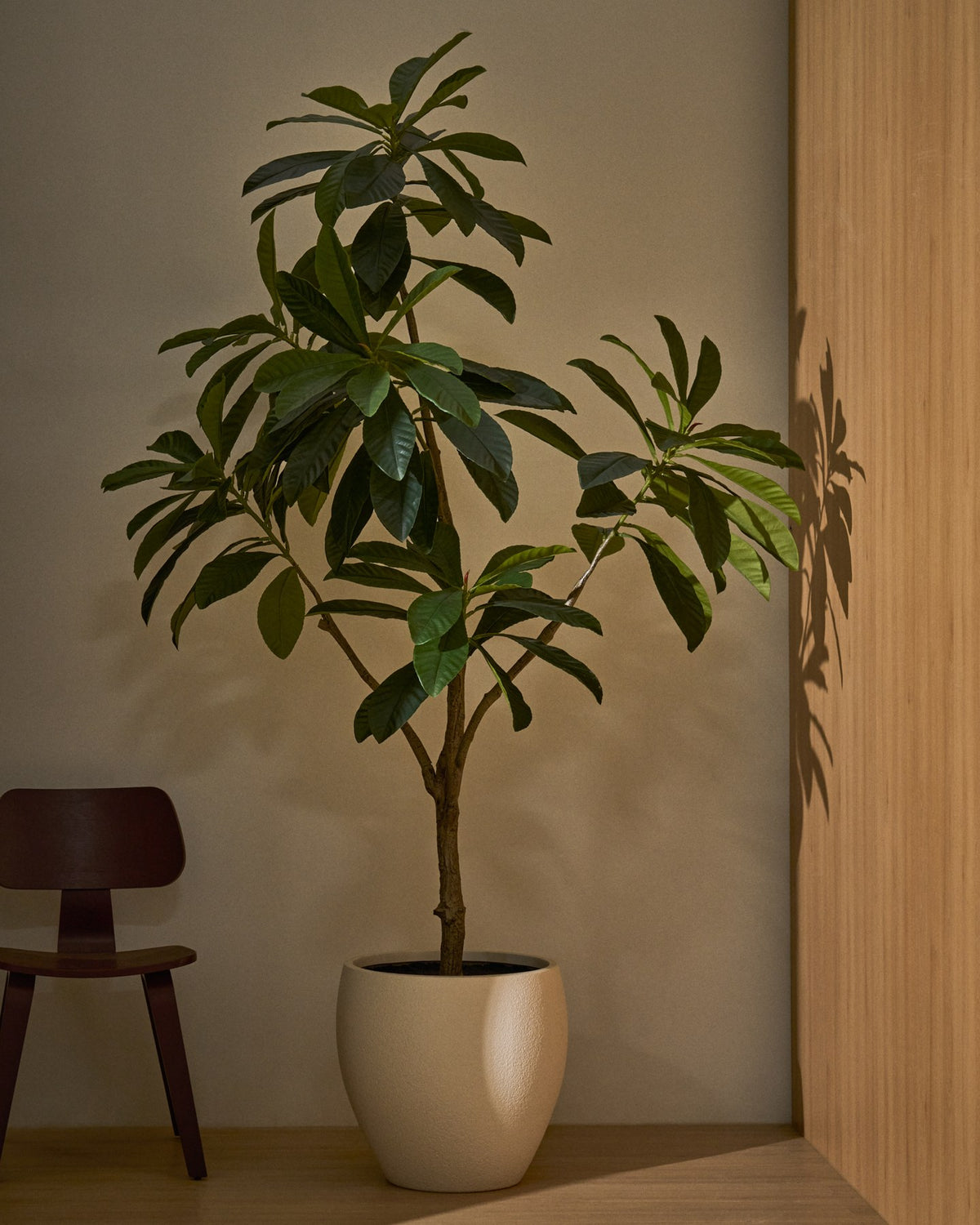 Künstliche Frangipani Pflanze in Grün mit weissem Blumentopf, Höhe 240 cm, Blätter aus Polyethylen und Polyurethan, geschwungene Form.