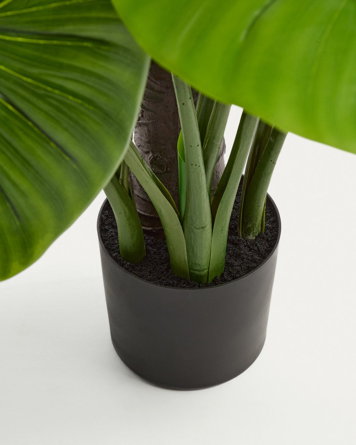 Künstliche Monstera-Pflanze mit langen, geschwungenen grünen Blättern aus Polyethylen in schwarzem Blumentopf, Höhe 185 cm.