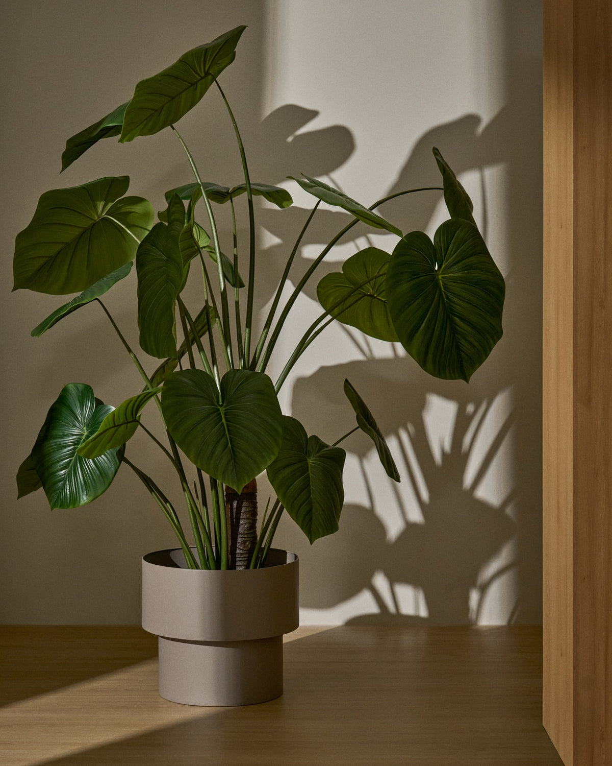 Künstliche Monstera-Pflanze mit langen, geschwungenen grünen Blättern aus Polyethylen in schwarzem Blumentopf, Höhe 185 cm.